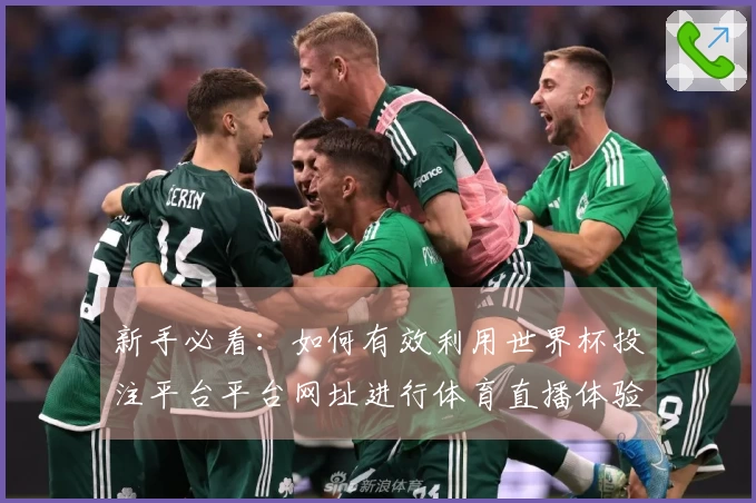 新手必看:如何有效利用世界杯投注平台平台网址进行体育直播体验