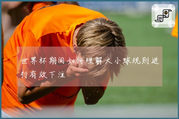 世界杯期间如何理解大小球规则进行有效下注