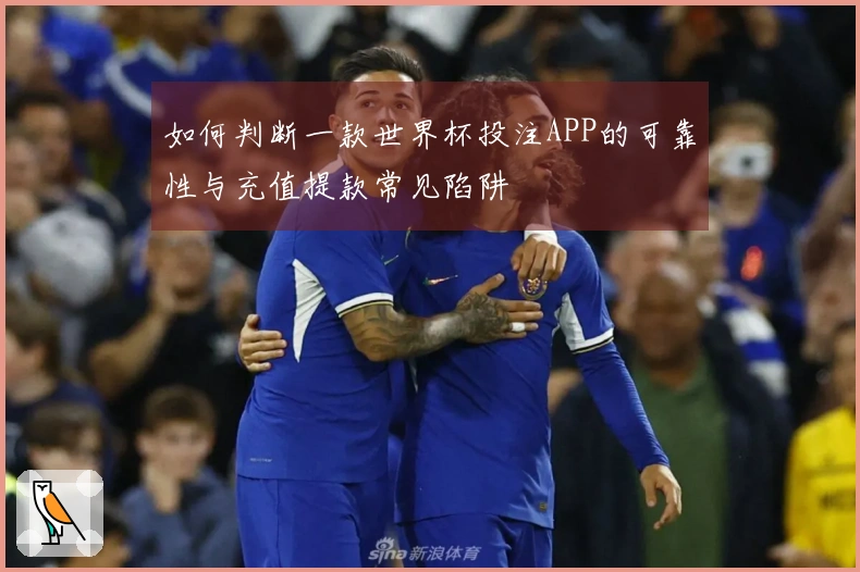 如何判断一款世界杯投注APP的可靠性与充值提款常见陷阱