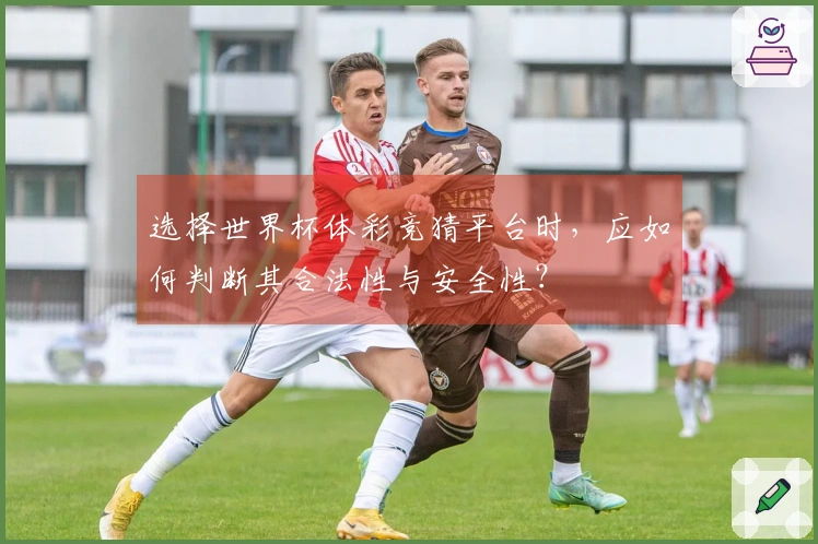 选择世界杯体彩竞猜平台时，应如何判断其合法性与安全性？
