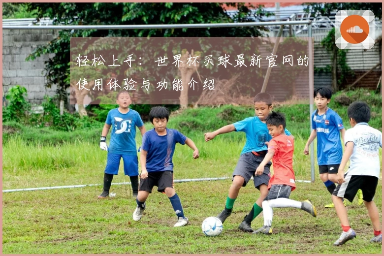 轻松上手：世界杯买球最新官网的使用体验与功能介绍