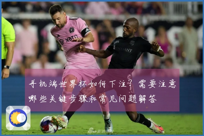 手机端世界杯如何下注？需要注意哪些关键步骤和常见问题解答