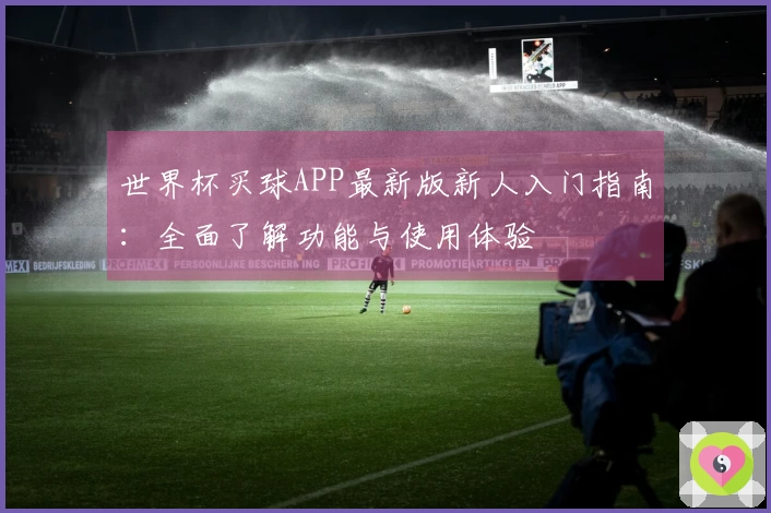 世界杯买球APP最新版新人入门指南:全面了解功能与使用体验