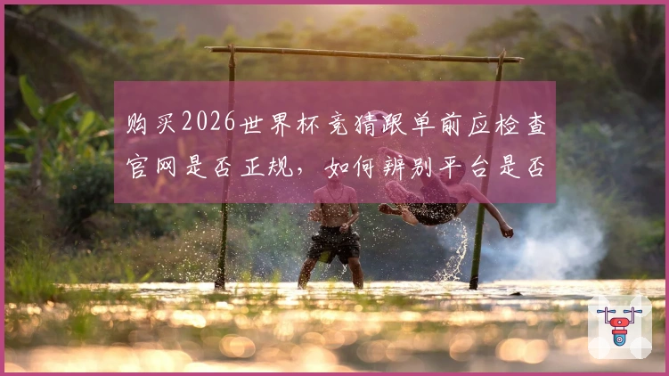 购买2026世界杯竞猜跟单前应检查官网是否正规，如何辨别平台是否可信