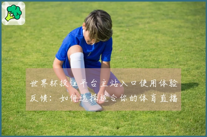 世界杯投注平台主站入口使用体验反馈:如何选择适合你的体育直播平台
