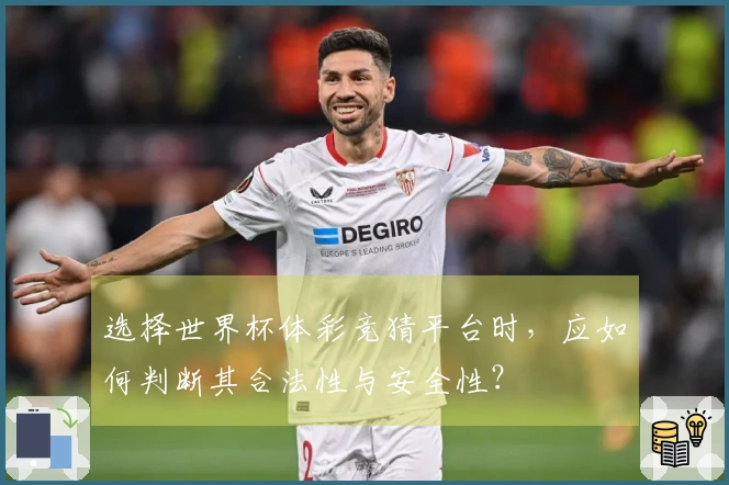 选择世界杯体彩竞猜平台时，应如何判断其合法性与安全性？
