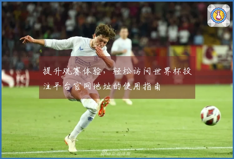 提升观赛体验，轻松访问世界杯投注平台官网地址的使用指南