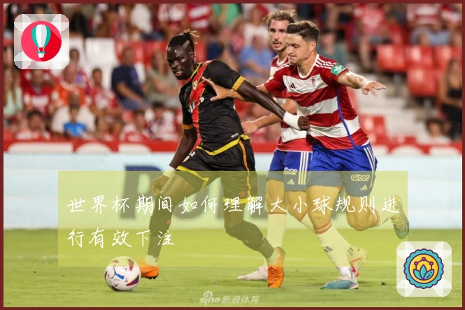 世界杯期间如何理解大小球规则进行有效下注