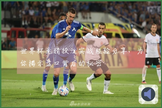 世界杯竞猜投注实战经验分享，为你揭示盘口背后的秘密