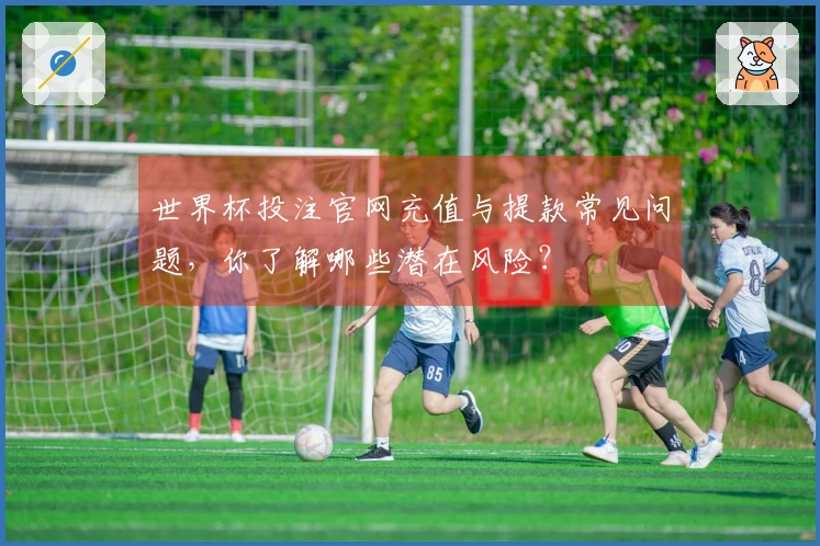 世界杯投注官网充值与提款常见问题，你了解哪些潜在风险？