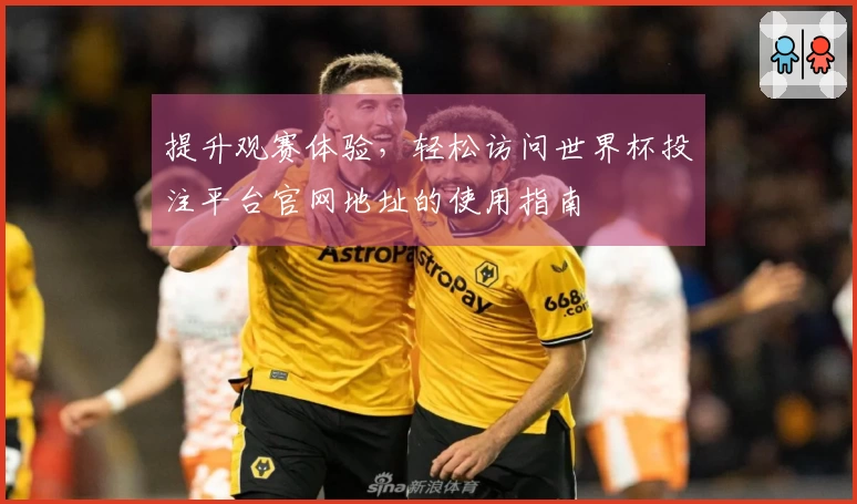 提升观赛体验，轻松访问世界杯投注平台官网地址的使用指南