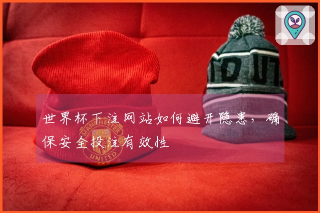 世界杯下注网站如何避开隐患,确保安全投注有效性