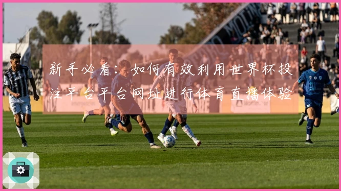 新手必看：如何有效利用世界杯投注平台平台网址进行体育直播体验