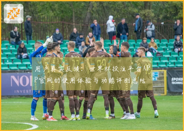 用户真实反馈：世界杯投注平台APP官网的使用体验与功能评测总结