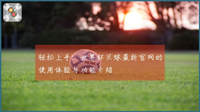 轻松上手：世界杯买球最新官网的使用体验与功能介绍