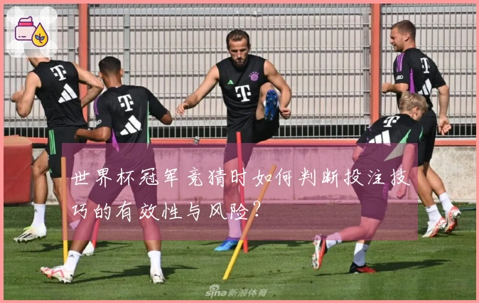 世界杯冠军竞猜时如何判断投注技巧的有效性与风险？